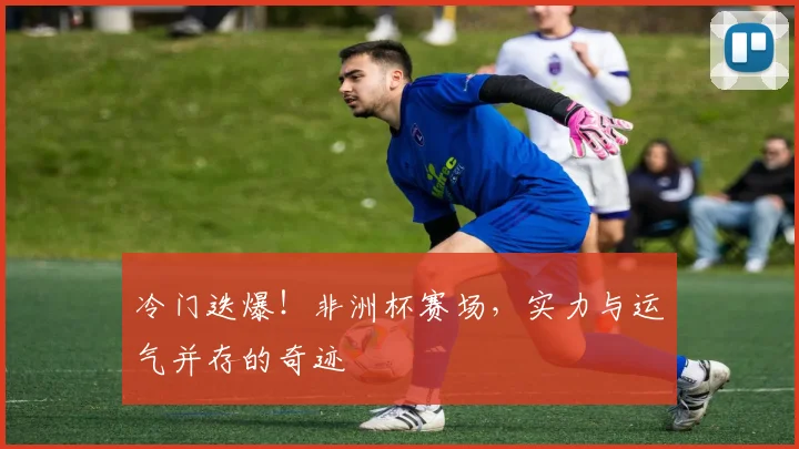 冷门迭爆！非洲杯赛场，实力与运气并存的奇迹