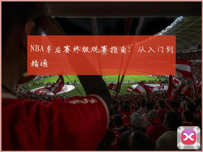 NBA季后赛终极观赛指南：从入门到精通